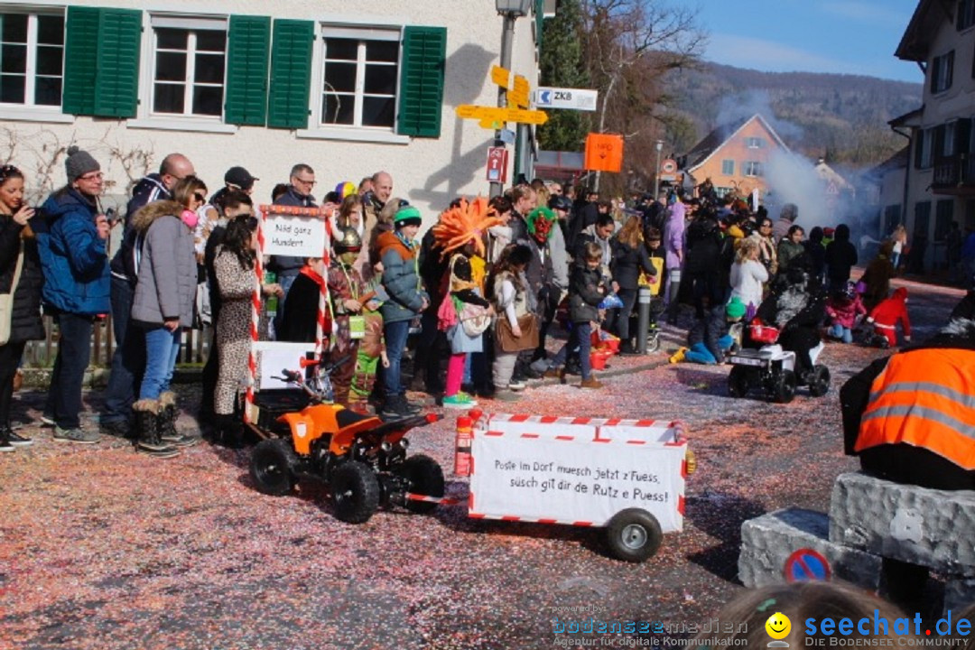 Fasnachtsumzug: Rorbas-Embrach - Schweiz, 04.03.2018