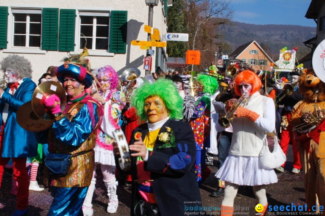 Fasnachtsumzug: Rorbas-Embrach - Schweiz, 04.03.2018