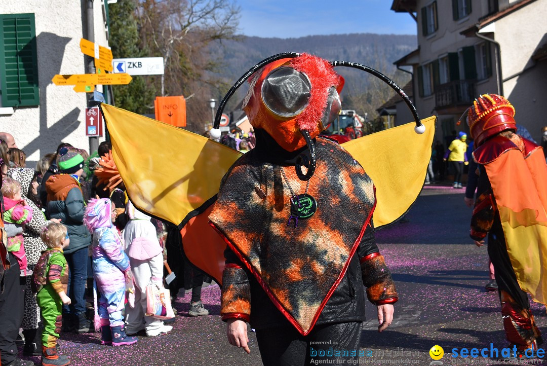 Fasnachtsumzug: Rorbas-Embrach - Schweiz, 04.03.2018