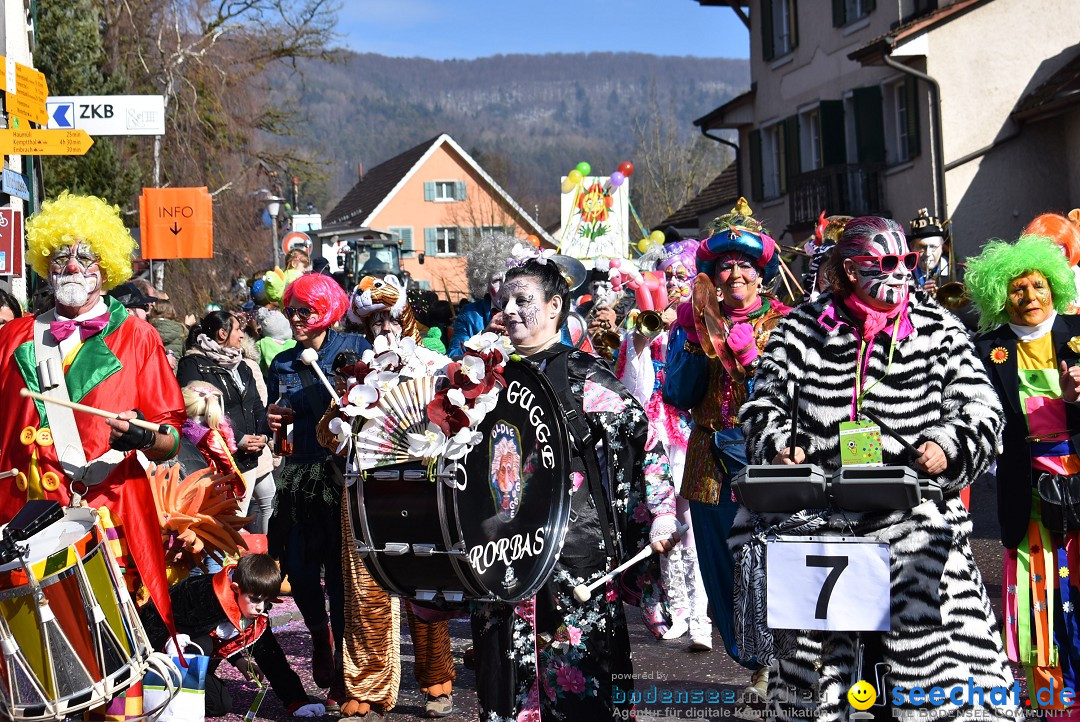 Fasnachtsumzug: Rorbas-Embrach - Schweiz, 04.03.2018