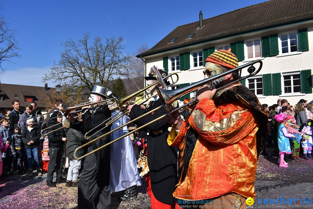 Fasnachtsumzug: Rorbas-Embrach - Schweiz, 04.03.2018