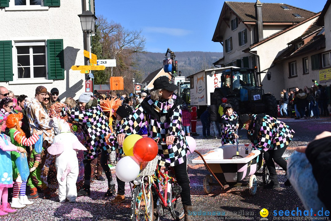 Fasnachtsumzug: Rorbas-Embrach - Schweiz, 04.03.2018