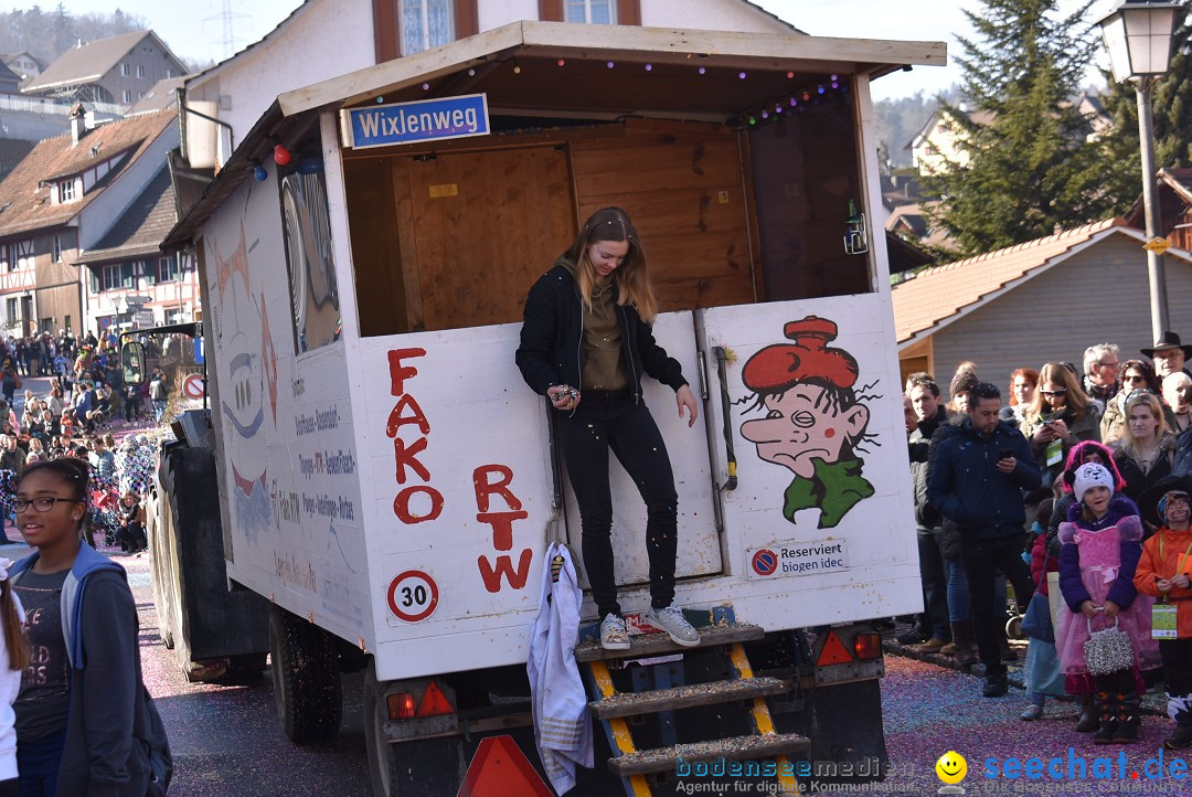 Fasnachtsumzug: Rorbas-Embrach - Schweiz, 04.03.2018