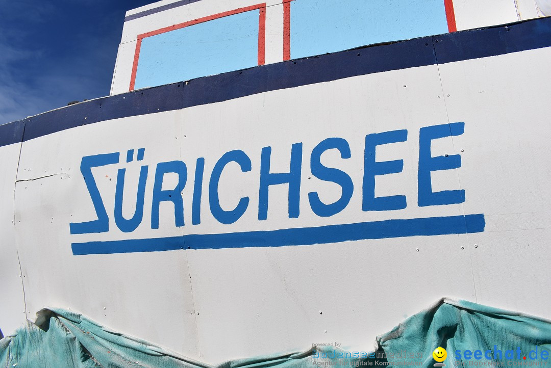 Fasnachtsumzug: Rorbas-Embrach - Schweiz, 04.03.2018