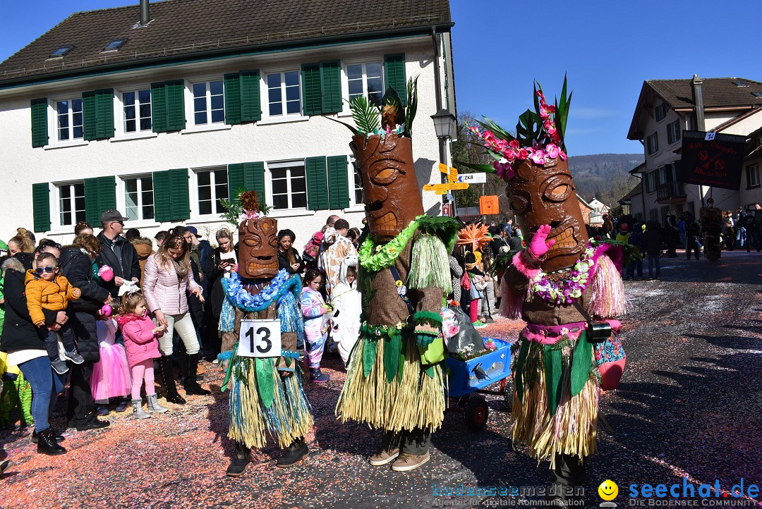 Fasnachtsumzug: Rorbas-Embrach - Schweiz, 04.03.2018