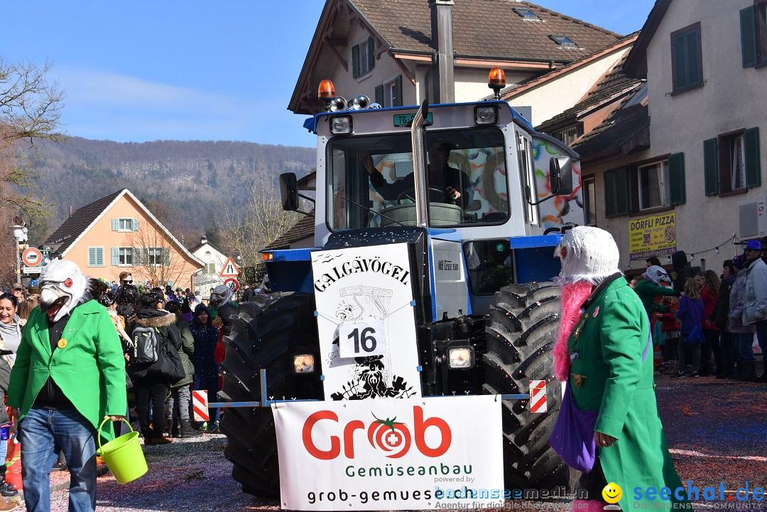 Fasnachtsumzug: Rorbas-Embrach - Schweiz, 04.03.2018