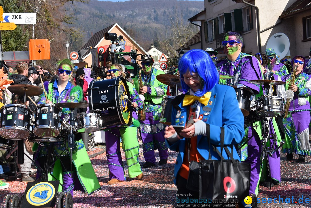 Fasnachtsumzug: Rorbas-Embrach - Schweiz, 04.03.2018