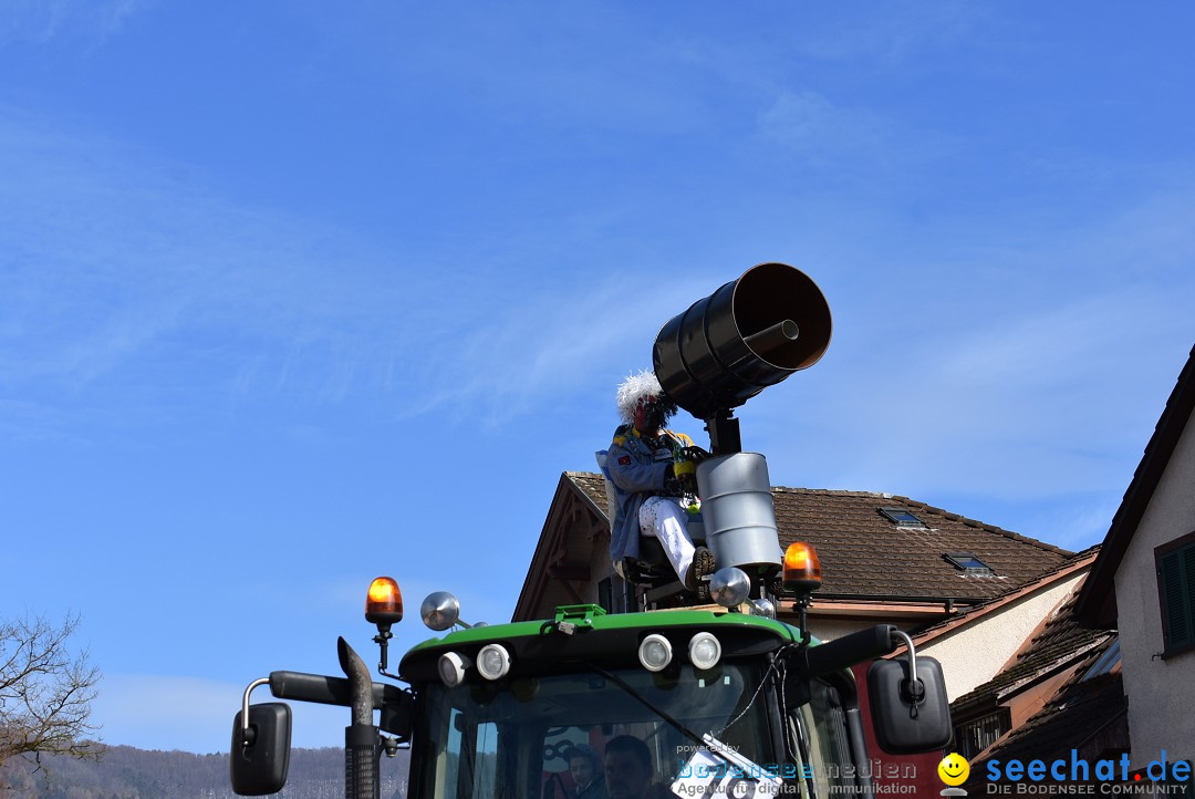 Fasnachtsumzug: Rorbas-Embrach - Schweiz, 04.03.2018