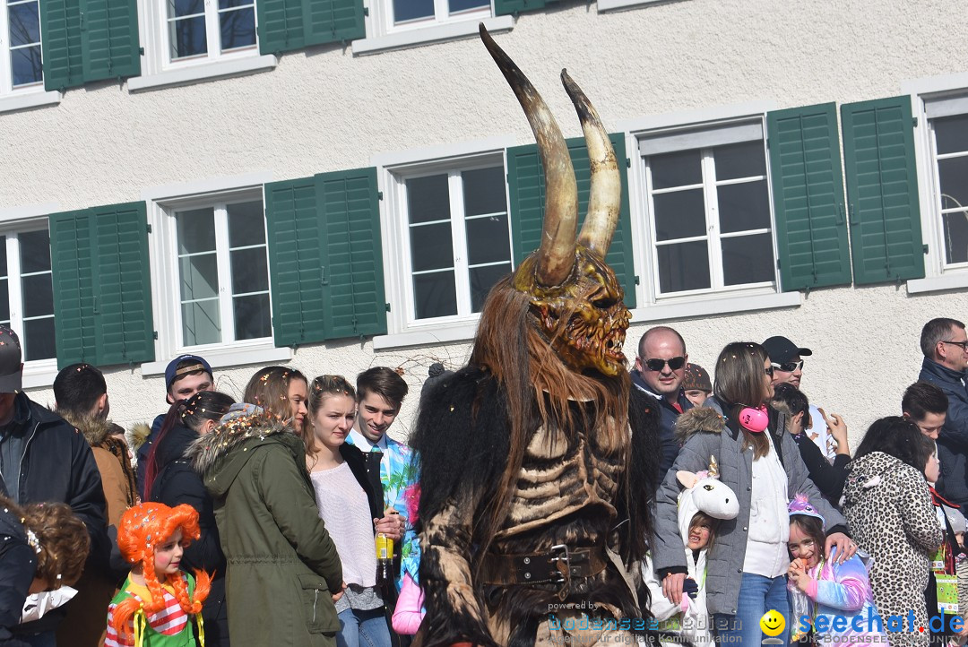 Fasnachtsumzug: Rorbas-Embrach - Schweiz, 04.03.2018