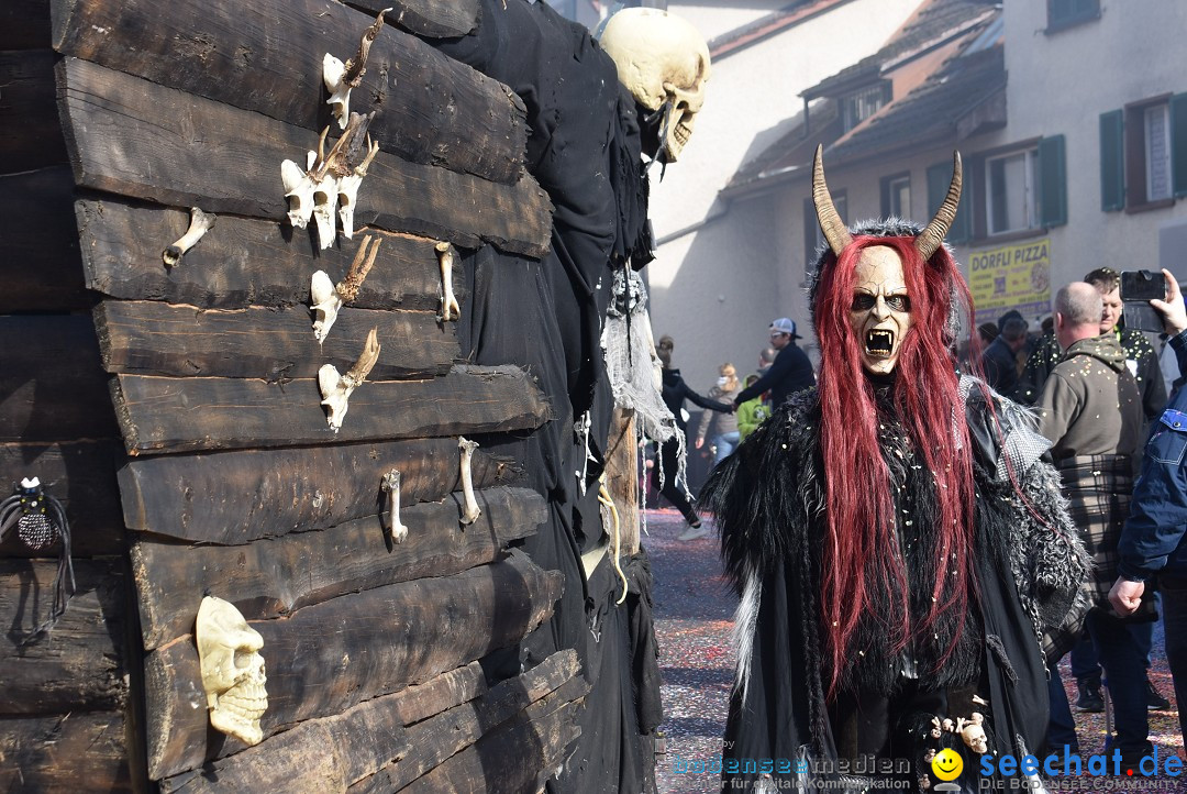 Fasnachtsumzug: Rorbas-Embrach - Schweiz, 04.03.2018