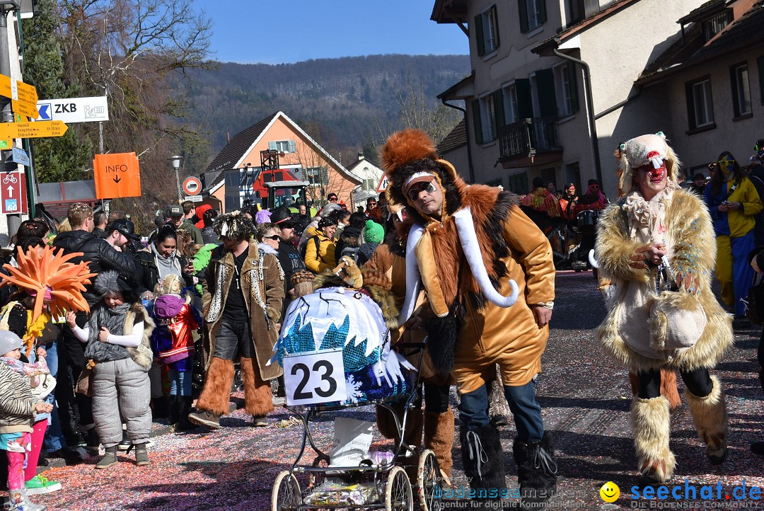 Fasnachtsumzug: Rorbas-Embrach - Schweiz, 04.03.2018