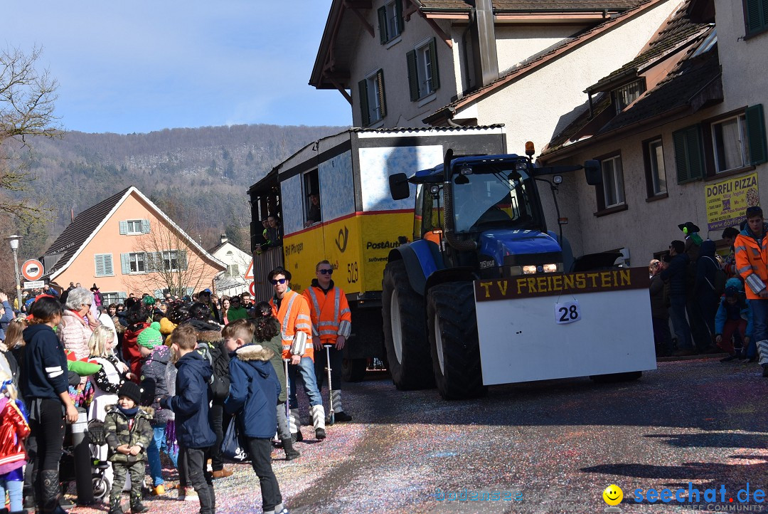 Fasnachtsumzug: Rorbas-Embrach - Schweiz, 04.03.2018