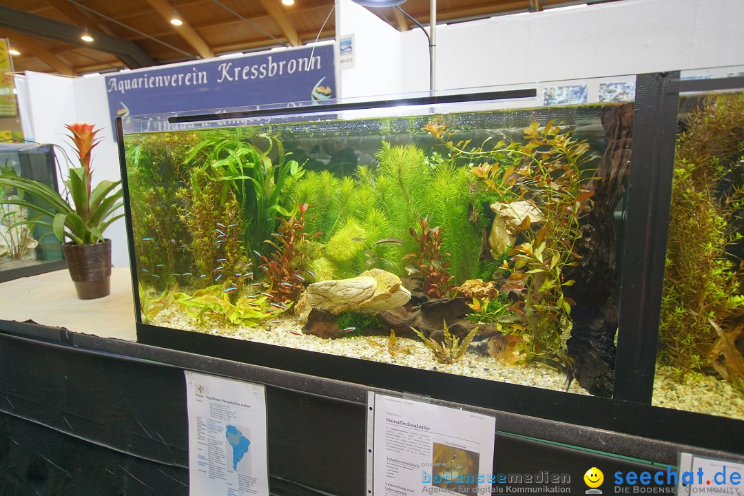 AQUA-FISCH - Internationale Aquaristik-Messe: Friedrichshafen, 11.03.2018