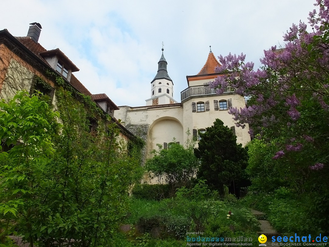 Vernissage - Gerda Sorger: Neufra, 03.05.2018