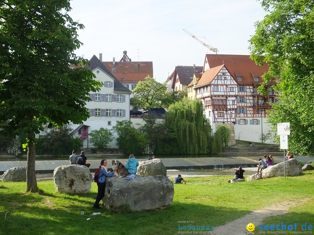 Flohmarkt in Riedlingen am Bodensee, 19.05.2018