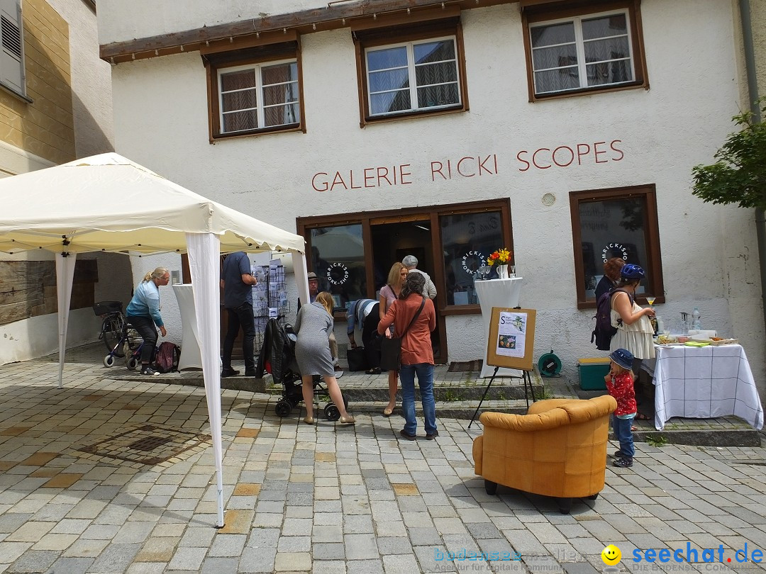 Vernissage - Gerda Sorger: Riedlingen, 24.06.2018