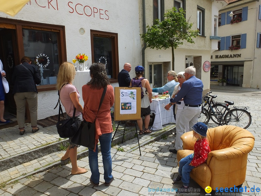 Vernissage - Gerda Sorger: Riedlingen, 24.06.2018