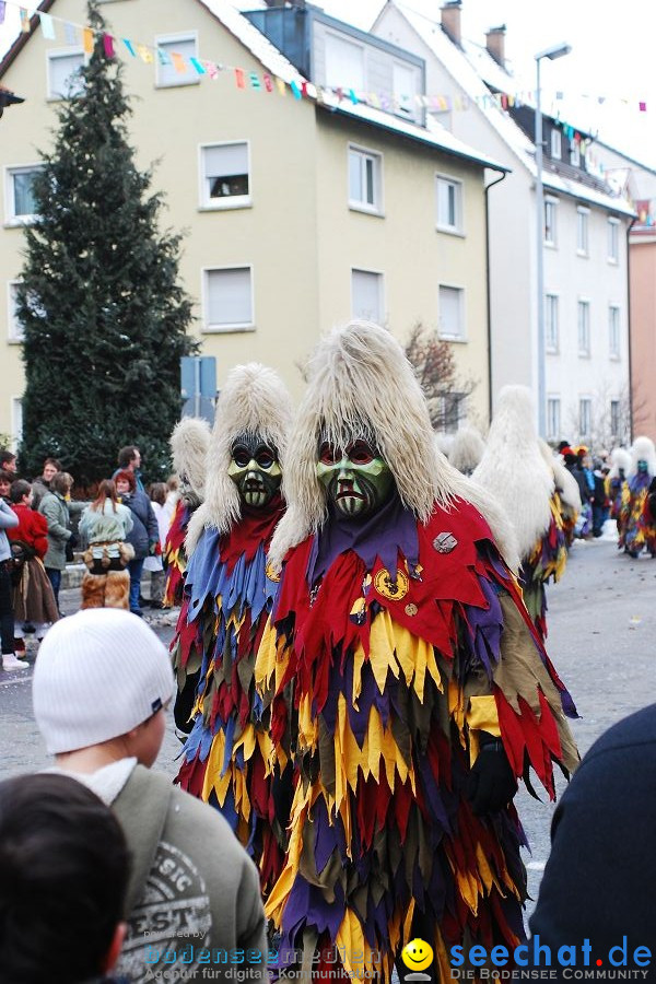 Narrensprung 2010, Friedrichshafen, 13.02.2010