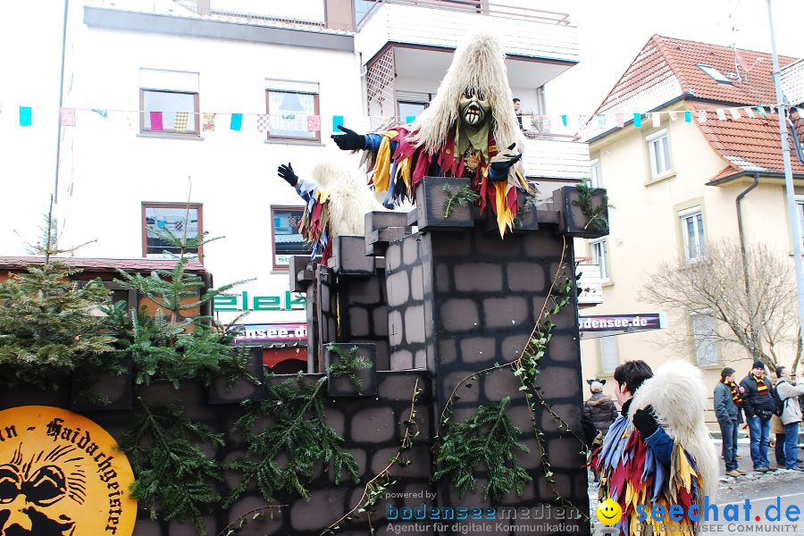 Narrensprung 2010, Friedrichshafen, 13.02.2010