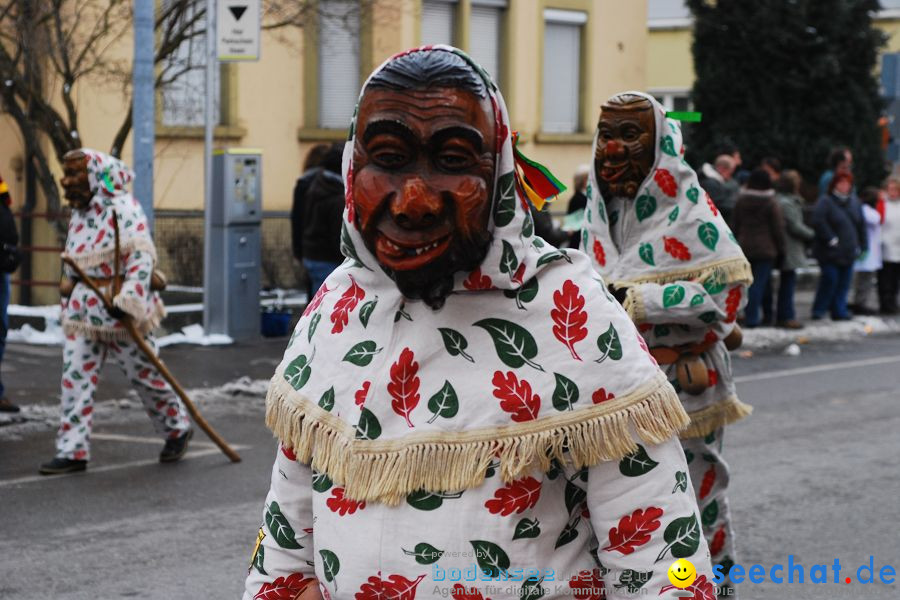 Narrensprung 2010, Friedrichshafen, 13.02.2010