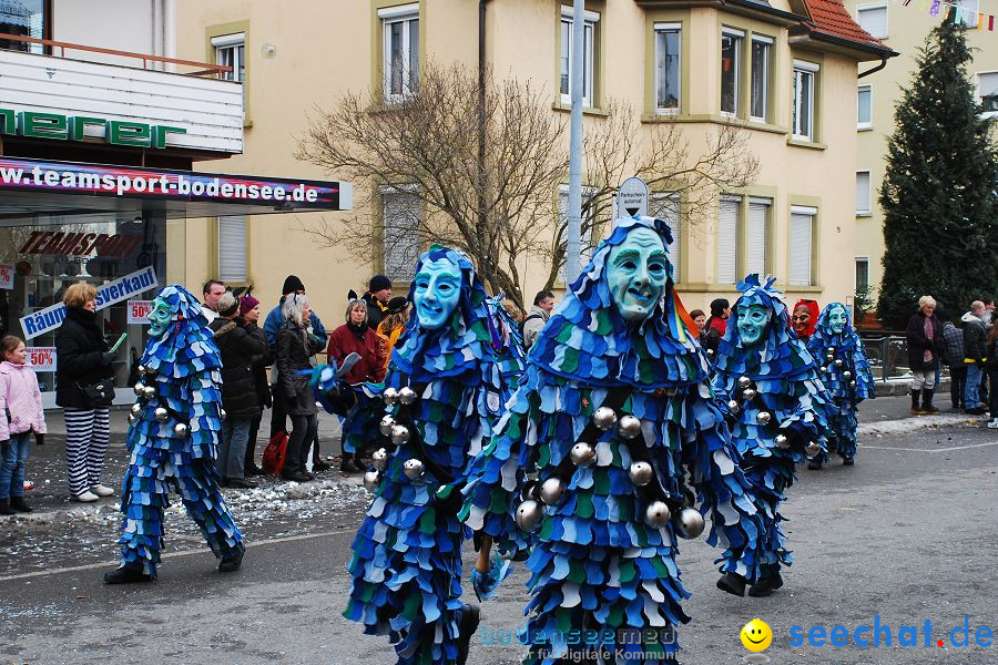Narrensprung 2010, Friedrichshafen, 13.02.2010