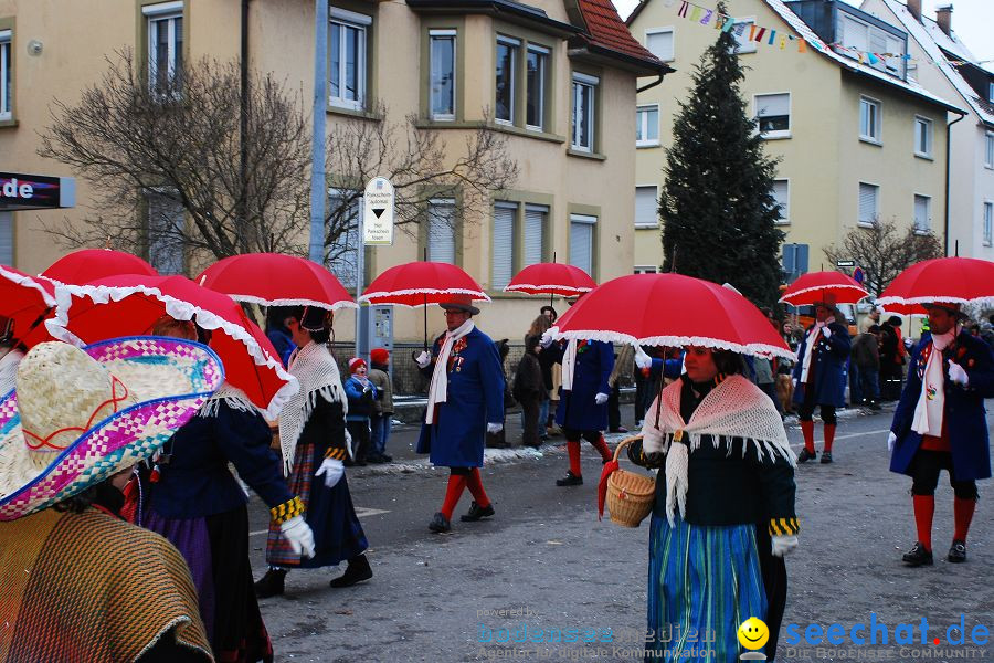 Narrensprung 2010, Friedrichshafen, 13.02.2010