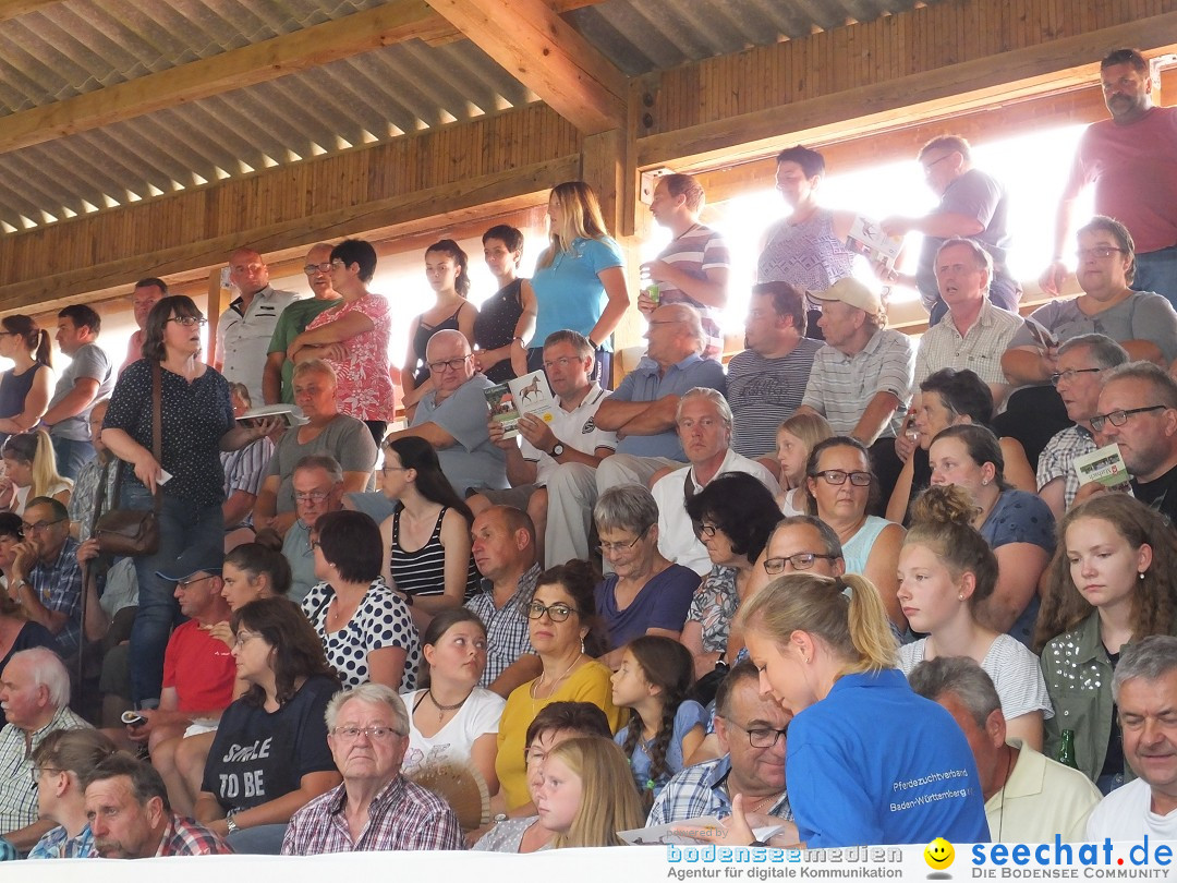 Fohlenmarkt: Riedlingen, 23.08.2018
