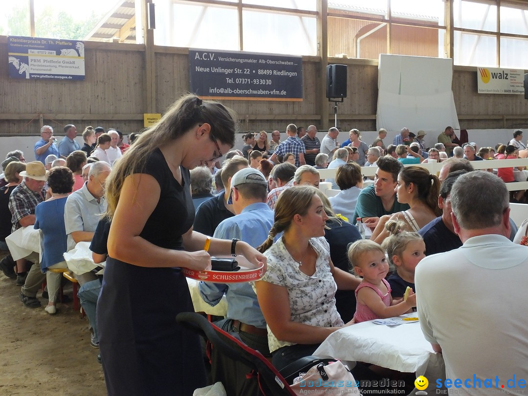 Fohlenmarkt: Riedlingen, 23.08.2018