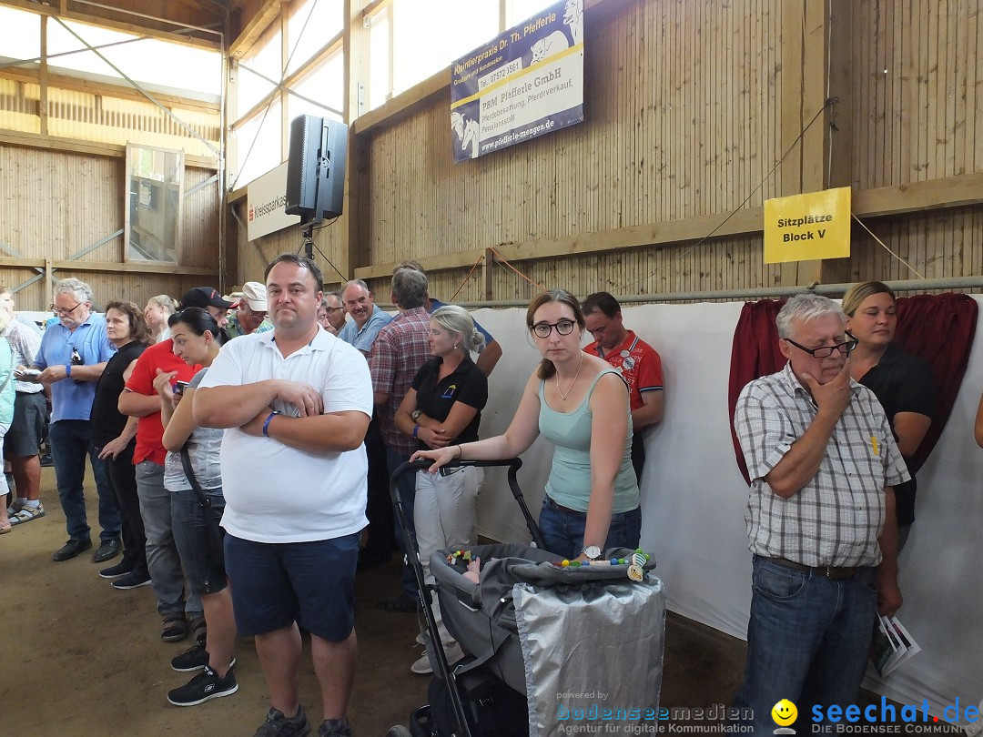 Fohlenmarkt: Riedlingen, 23.08.2018