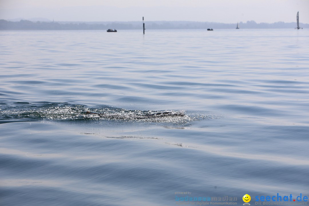 BODENSEEBOOT Breitenquerung, Katja Rauch: Friedrichshafen, 05.09.2018