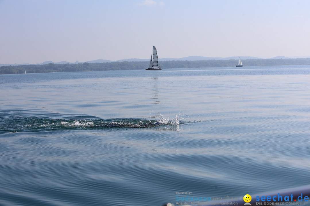 BODENSEEBOOT Breitenquerung, Katja Rauch: Friedrichshafen, 05.09.2018