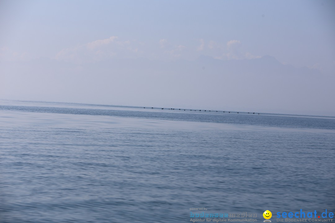 BODENSEEBOOT Breitenquerung, Katja Rauch: Friedrichshafen, 05.09.2018