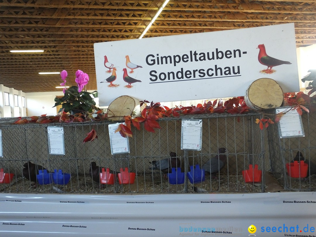 Rassegefluegelschau: Riedlingen, 14.10.2018