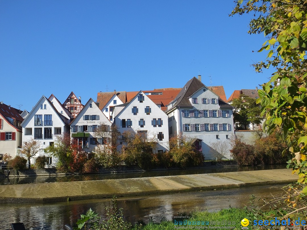 Gallusmarkt: Riedlingen, 14.10.2018