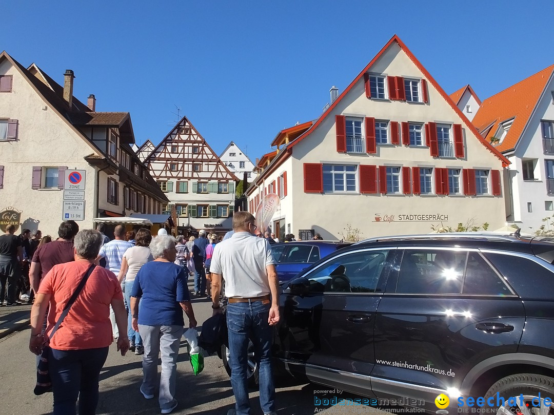 Gallusmarkt: Riedlingen, 14.10.2018