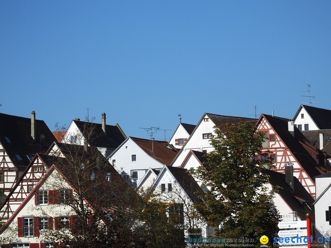 Gallusmarkt: Riedlingen, 14.10.2018