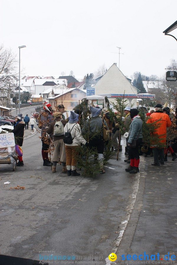 Narrensprung - Besenwirtschaft: Nenzingen, 14.02.2010