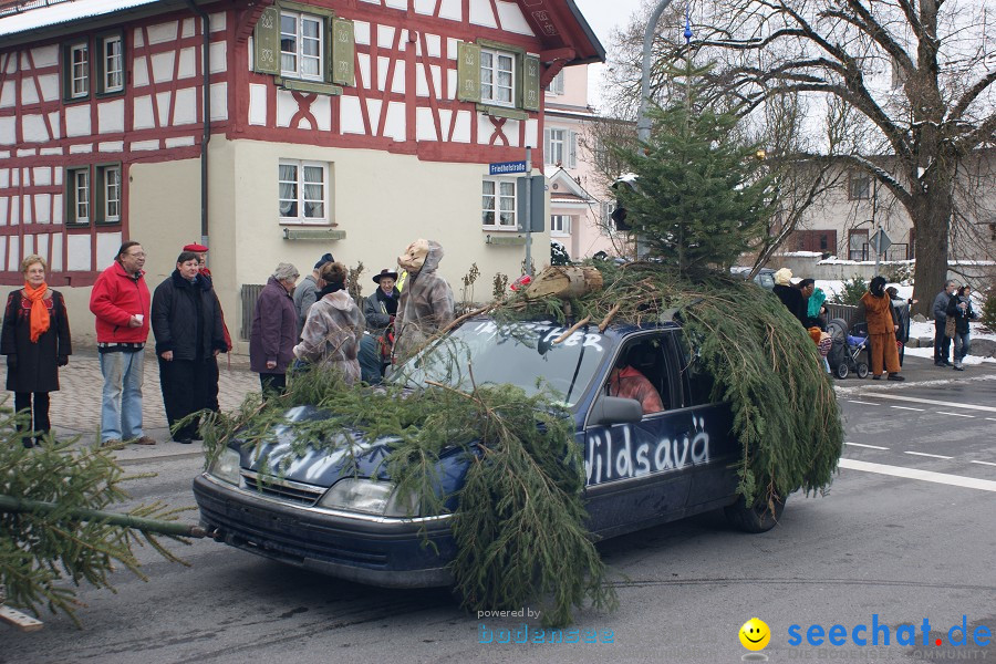 Narrensprung - Besenwirtschaft: Nenzingen, 14.02.2010