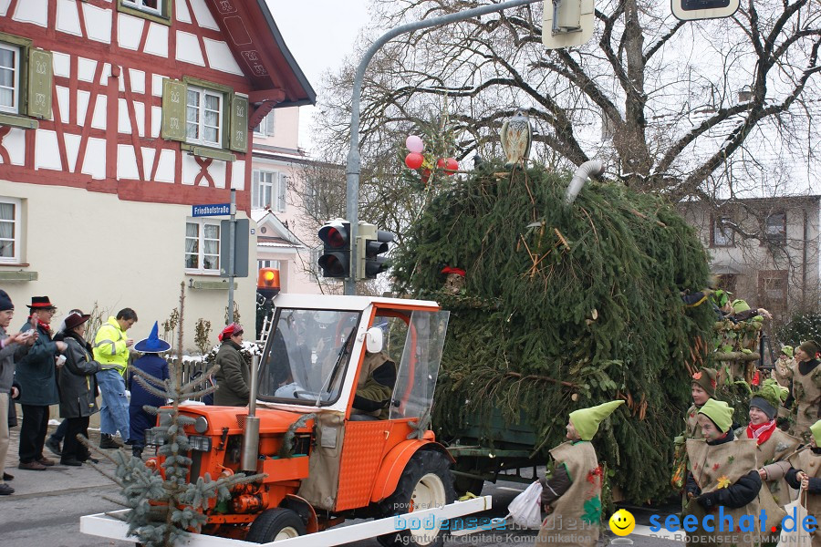 Narrensprung - Besenwirtschaft: Nenzingen, 14.02.2010