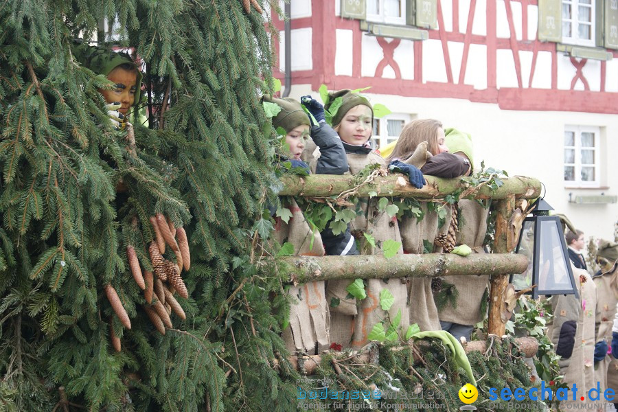 Narrensprung - Besenwirtschaft: Nenzingen, 14.02.2010