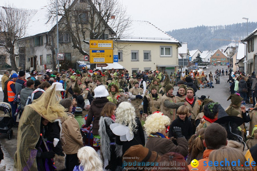 Narrensprung - Besenwirtschaft: Nenzingen, 14.02.2010