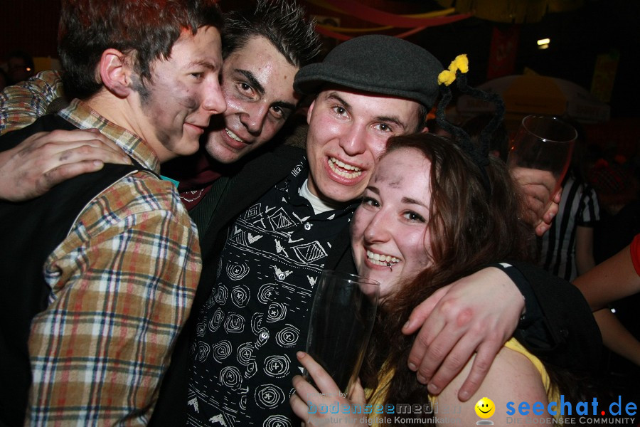 Rosenmontagsball mit JiggerSkin: Wetzisreute, 15.02.2010