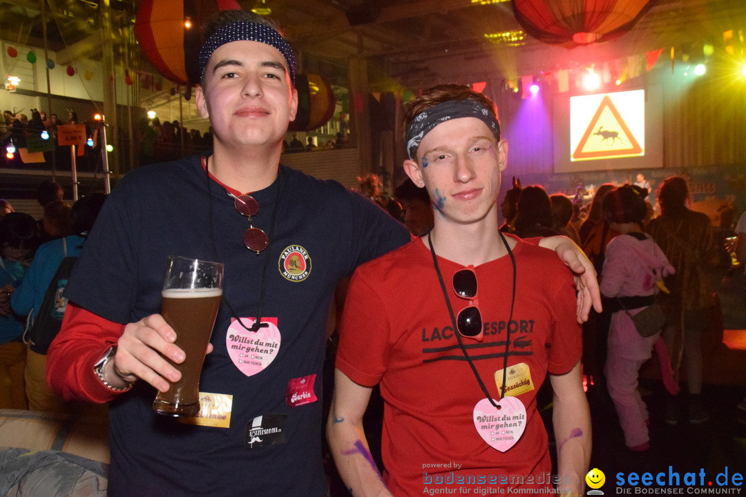 Elchball: Ettenkirch - Friedrichshafen, 18.01.2019
