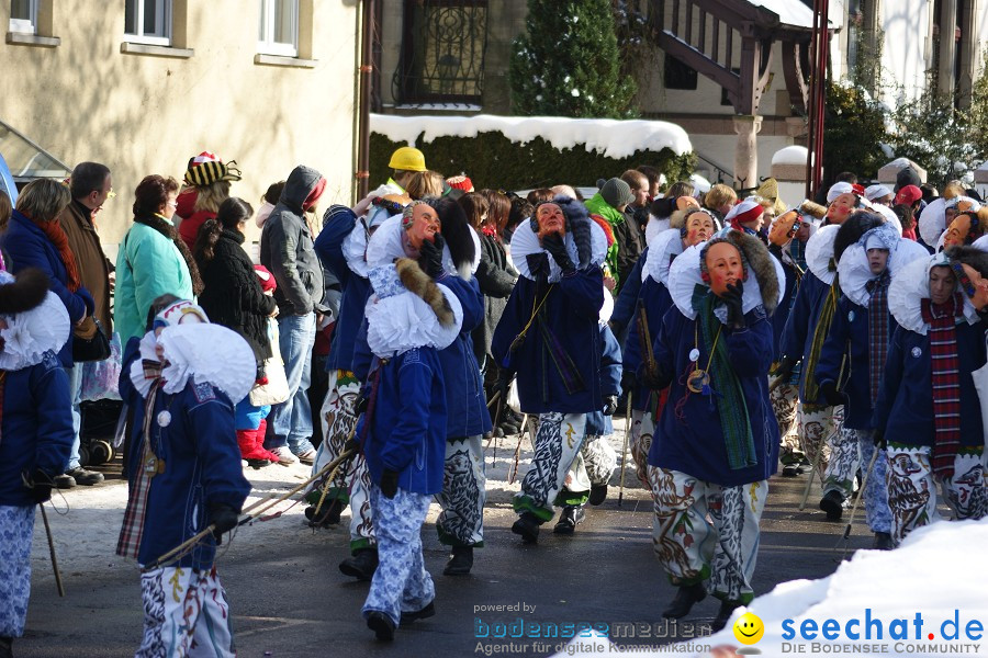 Narrenumzug: Villingen, 16.02.2010