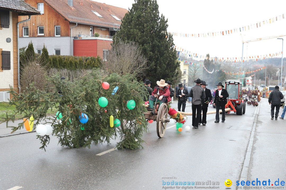 Narrenbaumstellen: Berg am Bodensee, 26.01.2019