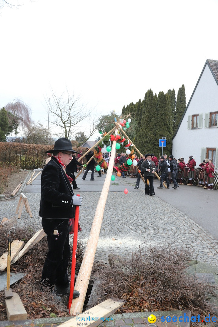 Narrenbaumstellen: Berg am Bodensee, 26.01.2019