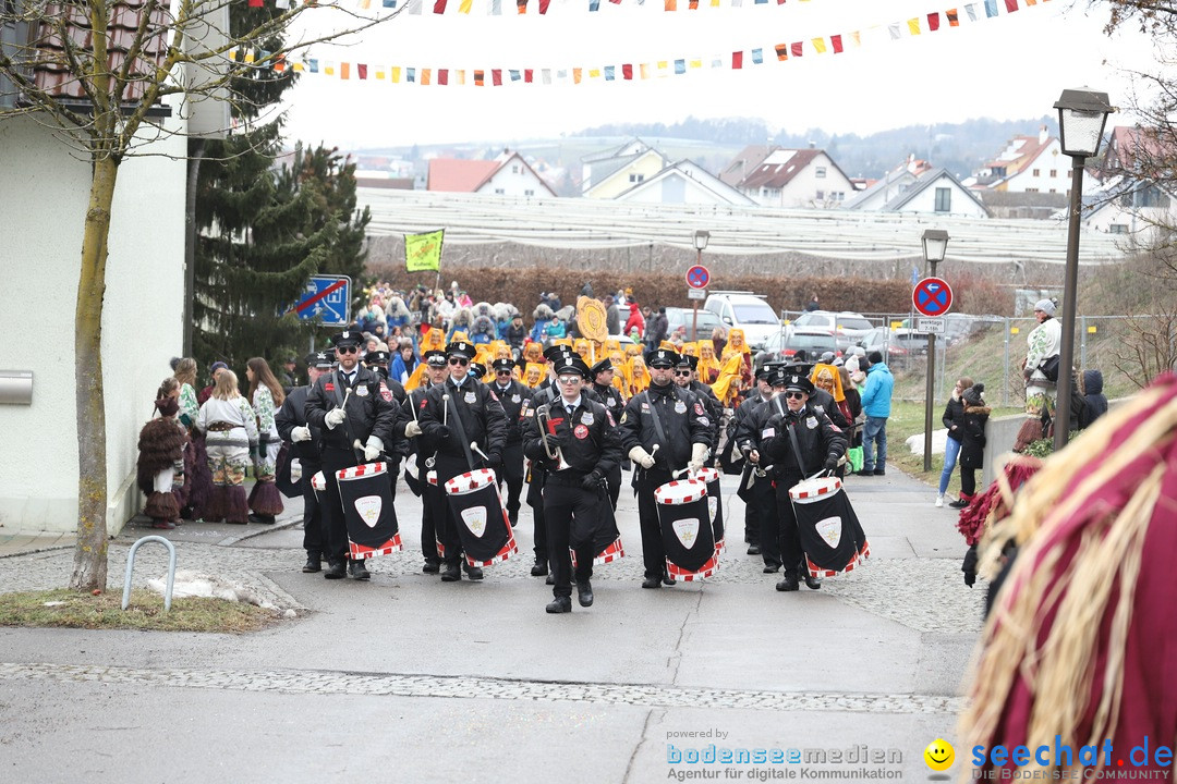 Narrenbaumstellen: Berg am Bodensee, 26.01.2019