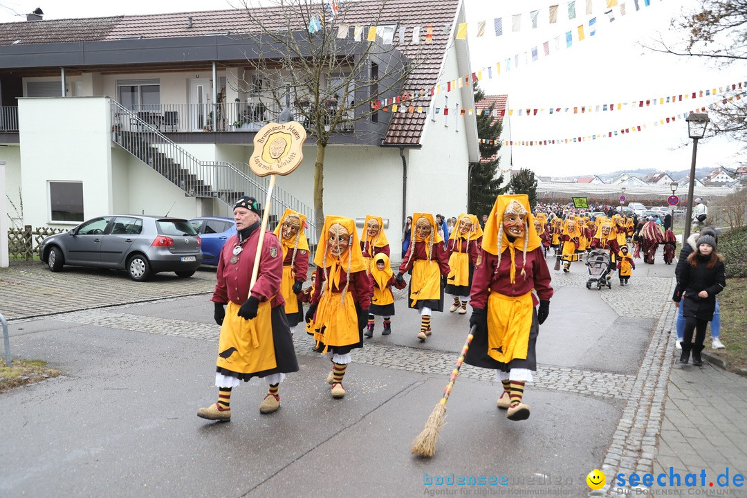 Narrenbaumstellen: Berg am Bodensee, 26.01.2019