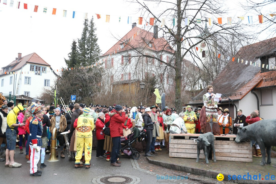 Narrenbaumstellen: Berg am Bodensee, 26.01.2019