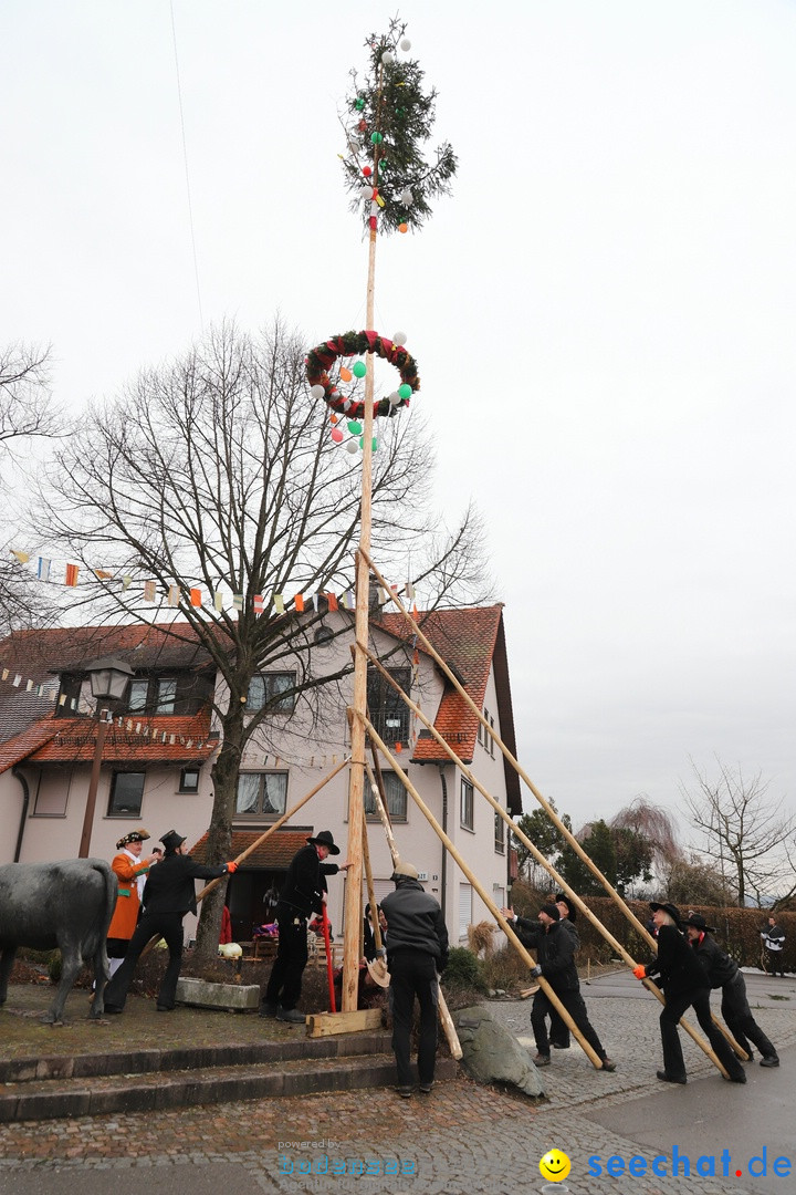 Narrenbaumstellen: Berg am Bodensee, 26.01.2019